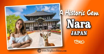 Nara Japan Travel Guide 1